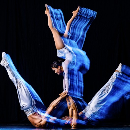 Troupe Vertigo Concerts in Phoenix